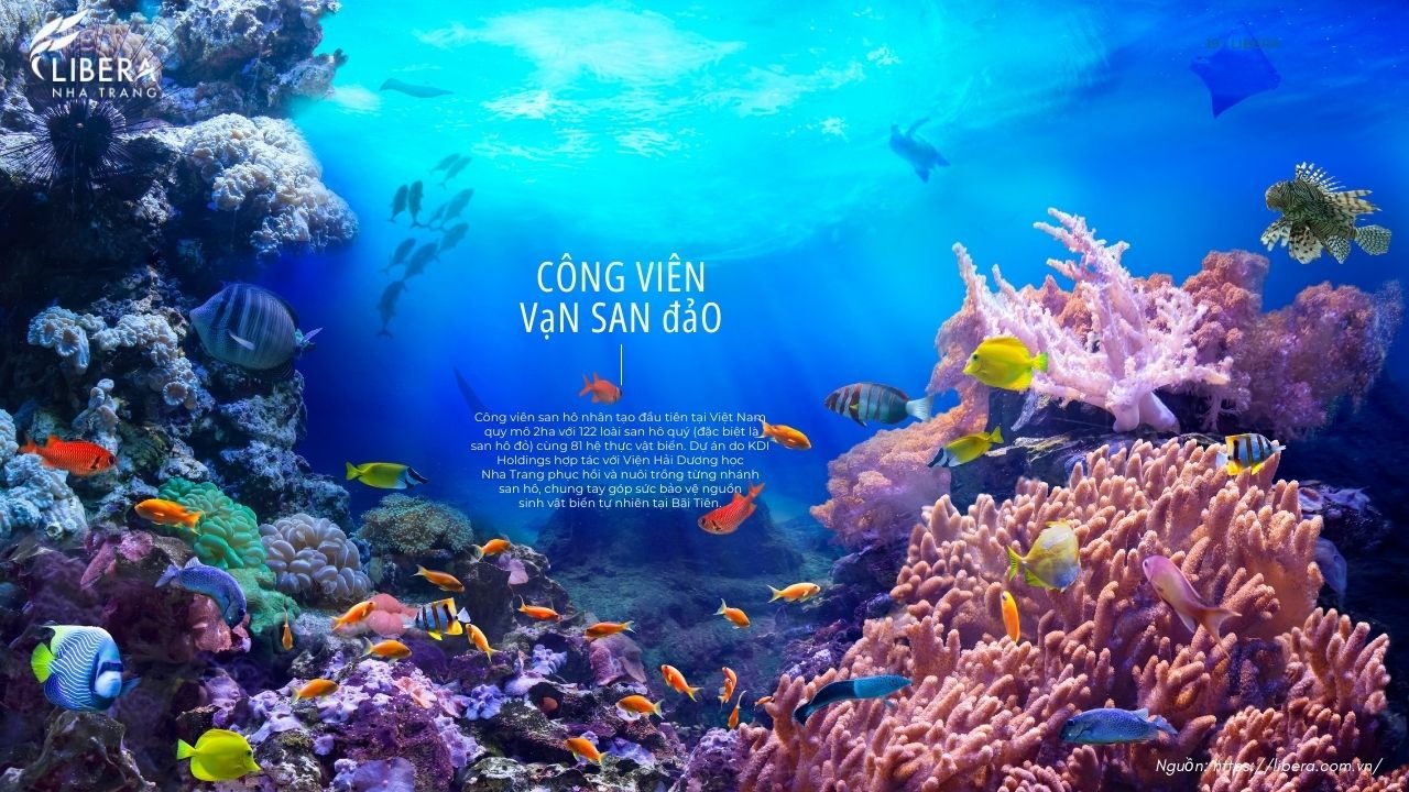 imgi_10_Tien-Ich-Cong-Vien-Van-San-Dao-Libera-Nha-Trang.jpg